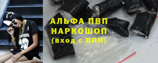 сатива Иннополис