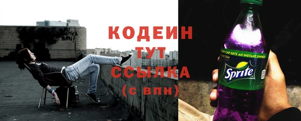 сатива Иннополис
