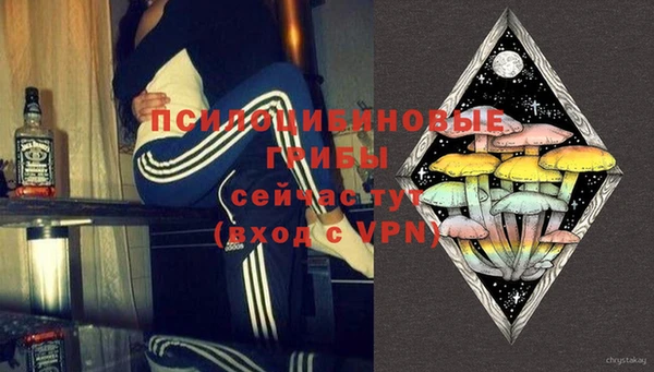 сатива Иннополис
