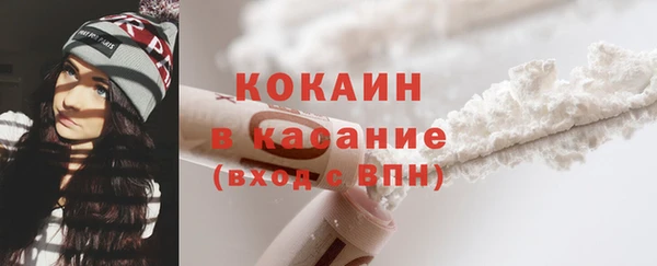 сатива Иннополис