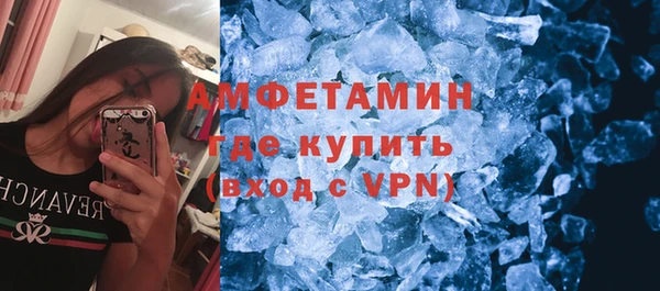 сатива Иннополис