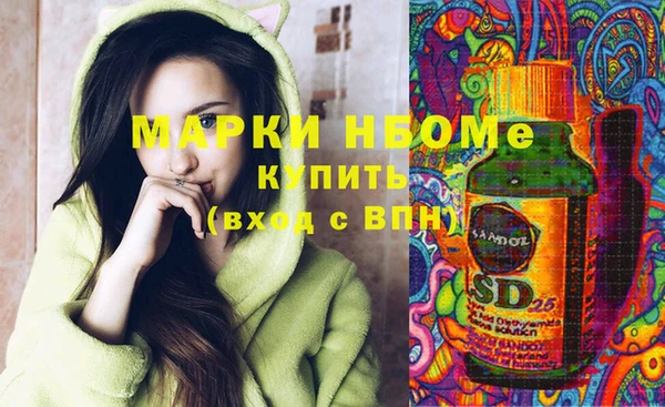 сатива Иннополис