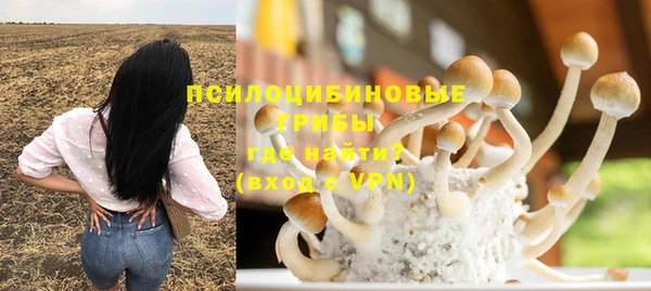 мдма Инсар
