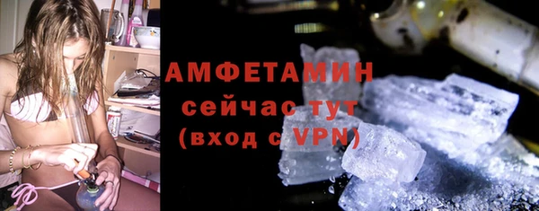 сатива Иннополис