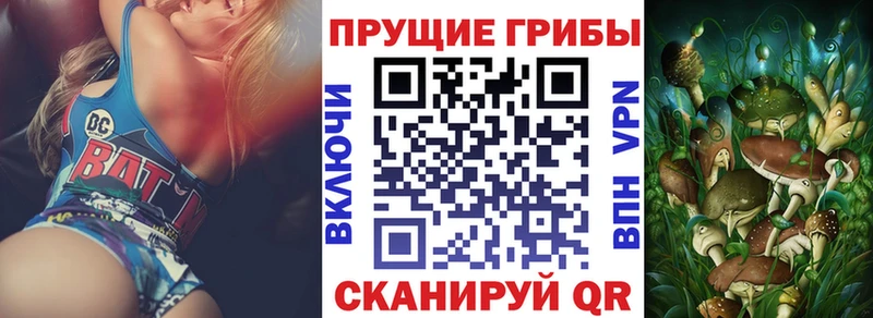 Псилоцибиновые грибы Psilocybe  Купить где  Куртамыш 